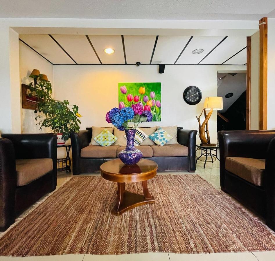 Hotel Hotel Avellano
